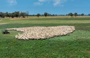 'Green Park Aggregation'/1714 Bynedale Road Rand NSW 2642 - Image 2