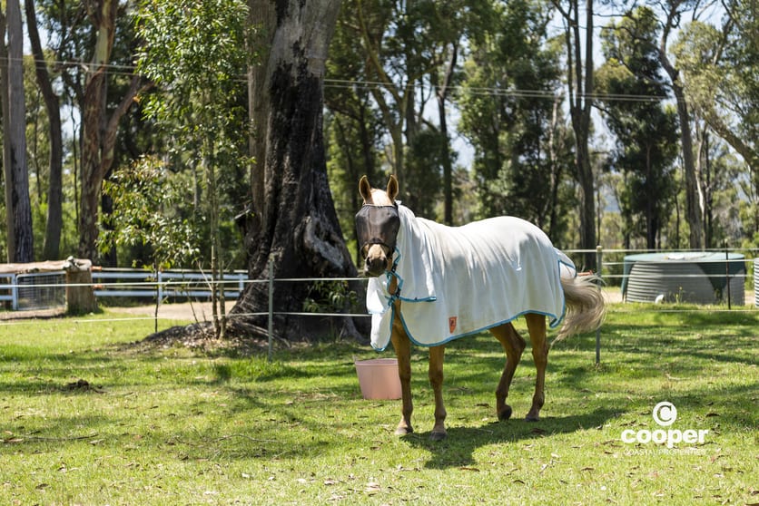 29 Woodburn Road Morton NSW 2538 - Image 3