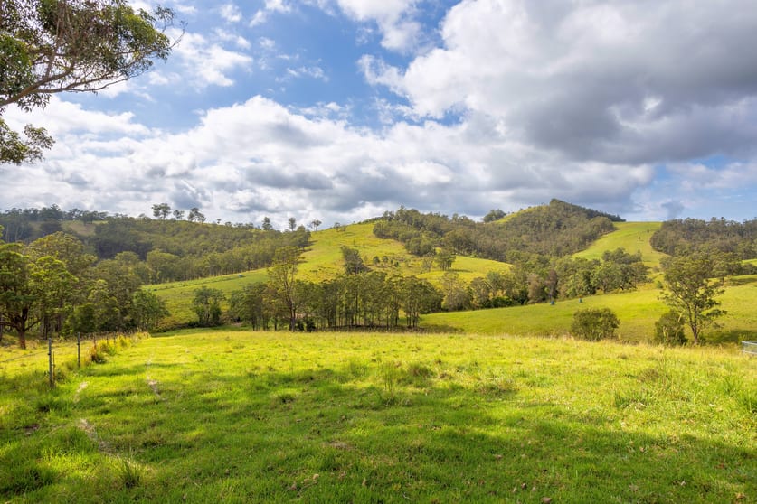 Click to view all images 197 Bimbadeen Road Wherrol Flat NSW 2429 - Image 3