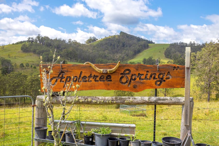 Click to view all images 197 Bimbadeen Road Wherrol Flat NSW 2429 - Image 2