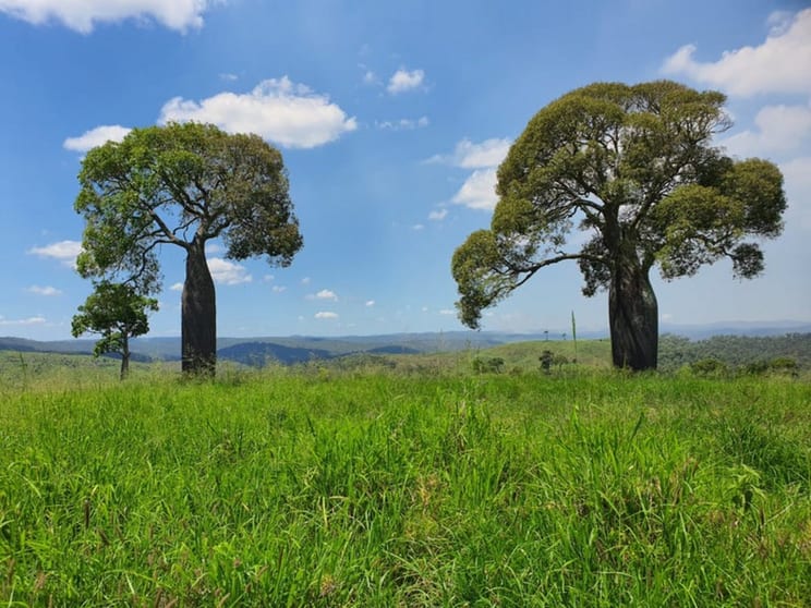 Click to view all images Tellebang Road Monto QLD 4630 - Image 1