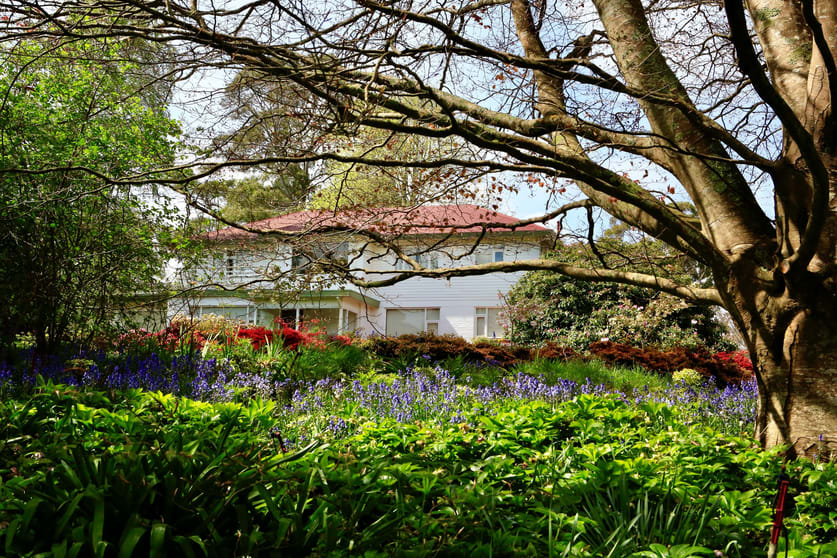 Click to view all images 399 Ridgley Highway Mooreville TAS 7321 - Image 3