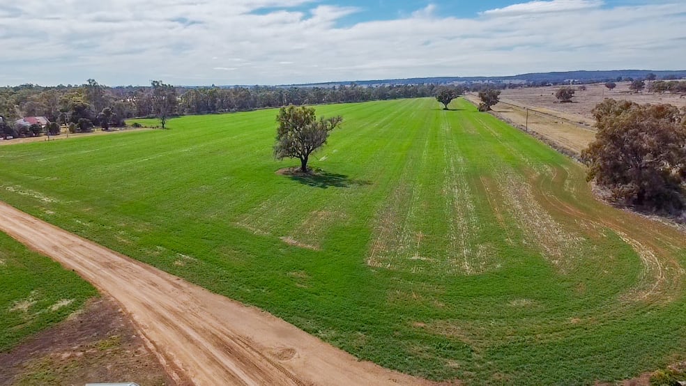 Click to view all images 1638 & 2012 Piambra Road Neilrex NSW 2831 - Image 2