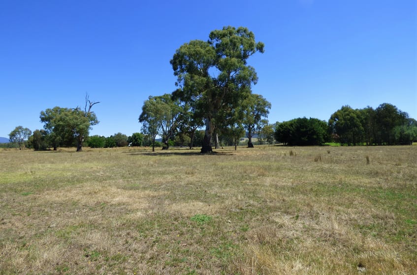 Click to view all images Lot 2 Whorouly South Rd Whorouly South VIC 3735 - Image 2