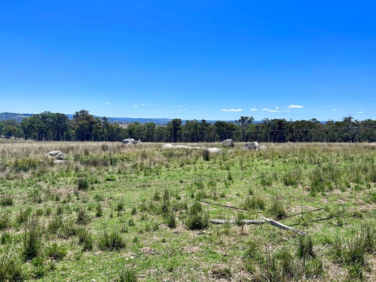 Click to view all images Lot 322 Jenkyn Lane Uralla NSW 2358 - Image 2