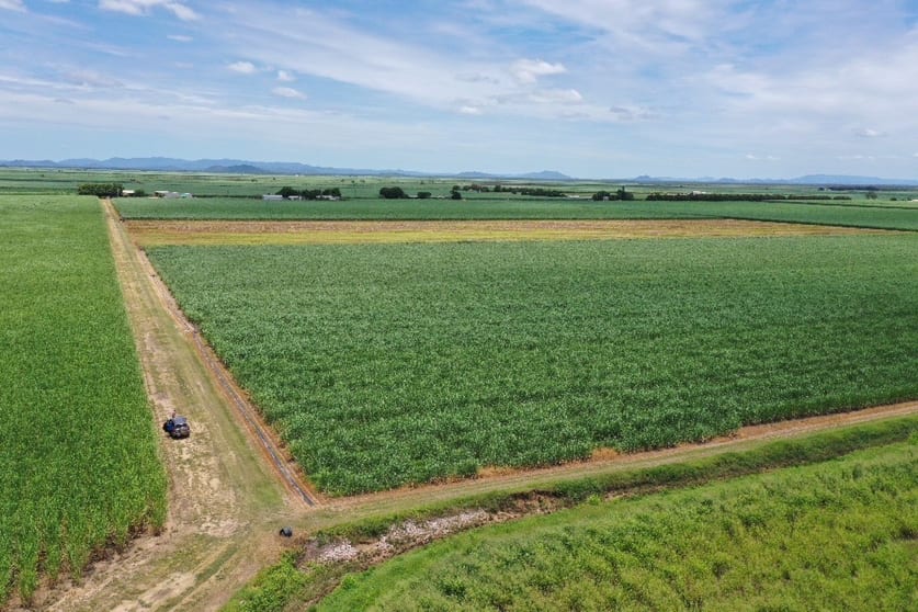 Click to view all images 78 School Road Clare QLD 4807 - Image 3