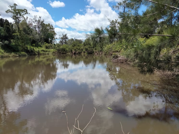 Click to view all images 83 Hofsetter Road Morganville QLD 4671 - Image 1