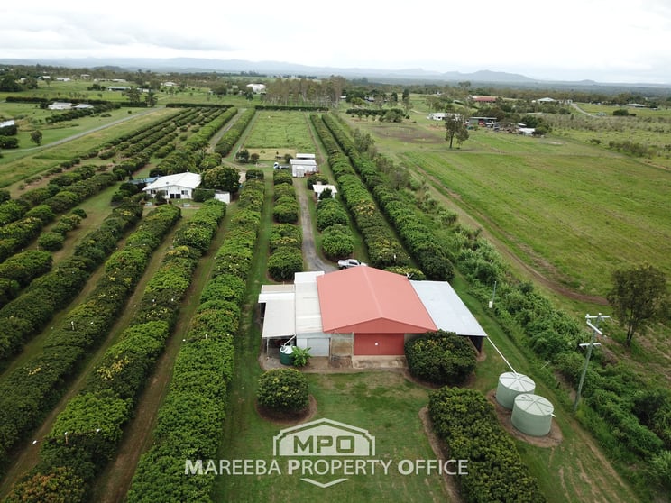 209 Malone Road Mareeba QLD 4880 - Image 2