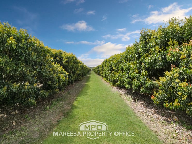 209 Malone Road Mareeba QLD 4880 - Image 3