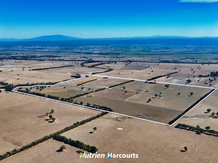 Click to view all images CA13H, 13K & 13H1 Shields Road Flynn VIC 3844 - Image 2