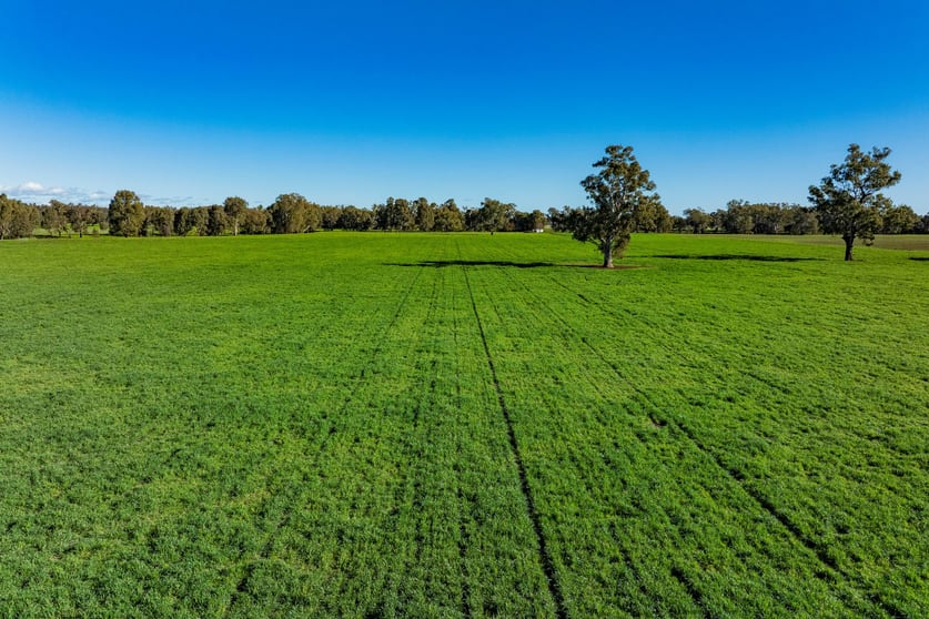 Click to view all images 126 Kneebones Road Wagga Wagga NSW 2650 - Image 1