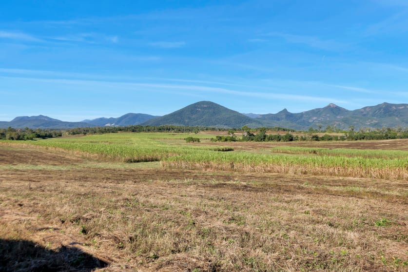 Click to view all images Lot 21 241 Wintons Road Yalboroo QLD 4741 - Image 2