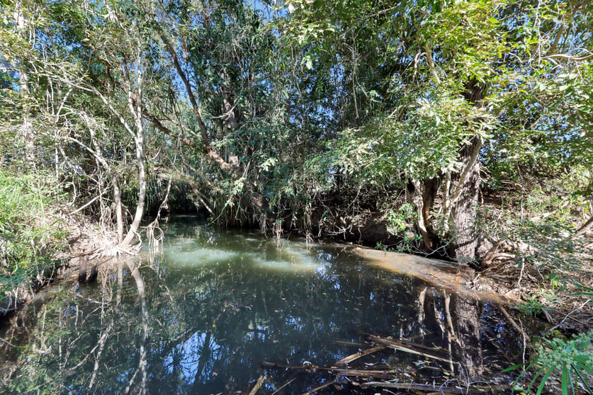 Click to view all images Lot 21 241 Wintons Road Yalboroo QLD 4741 - Image 3