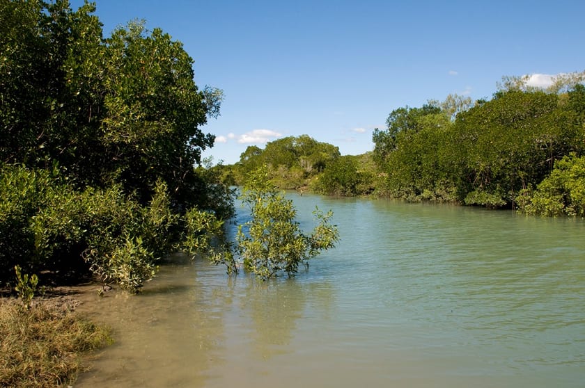 Manon Street Armstrong Beach QLD 4737 - Image 2