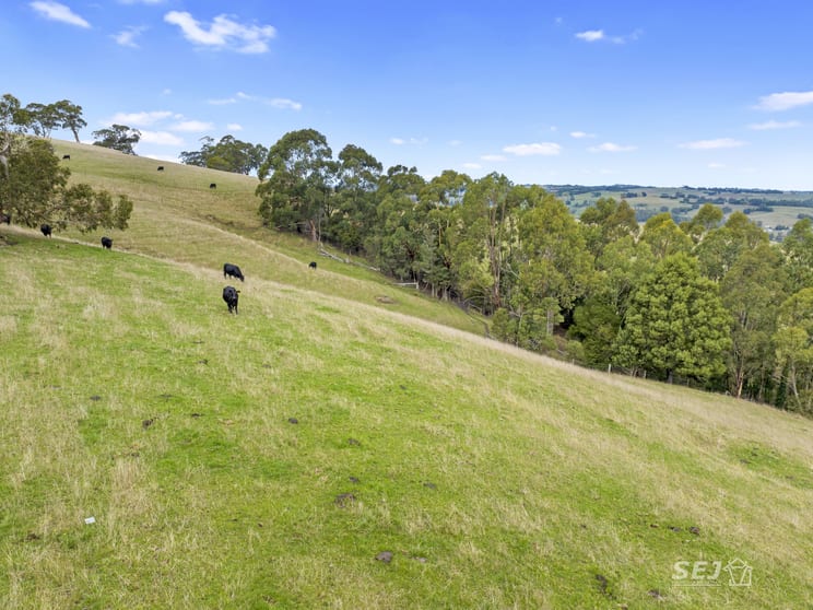 Click to view all images 110 Forresters Road Wooreen VIC 3953 - Image 3