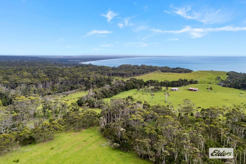 Click to view all images Millwood Road Naracoopa TAS 7256 - Image 3
