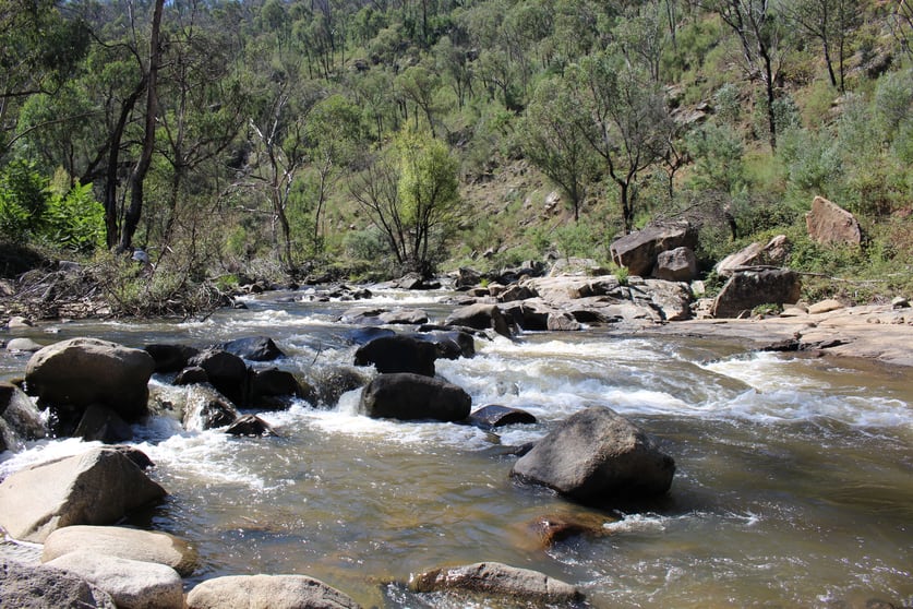 Click to view all images Lot 1-3 Tumbarumba Creek Road Tooma NSW 2642 - Image 3
