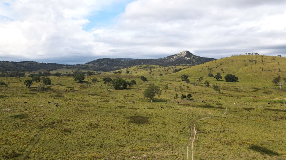 585 Sunnyside Loop Road Tenterfield NSW 2372 - Image 1