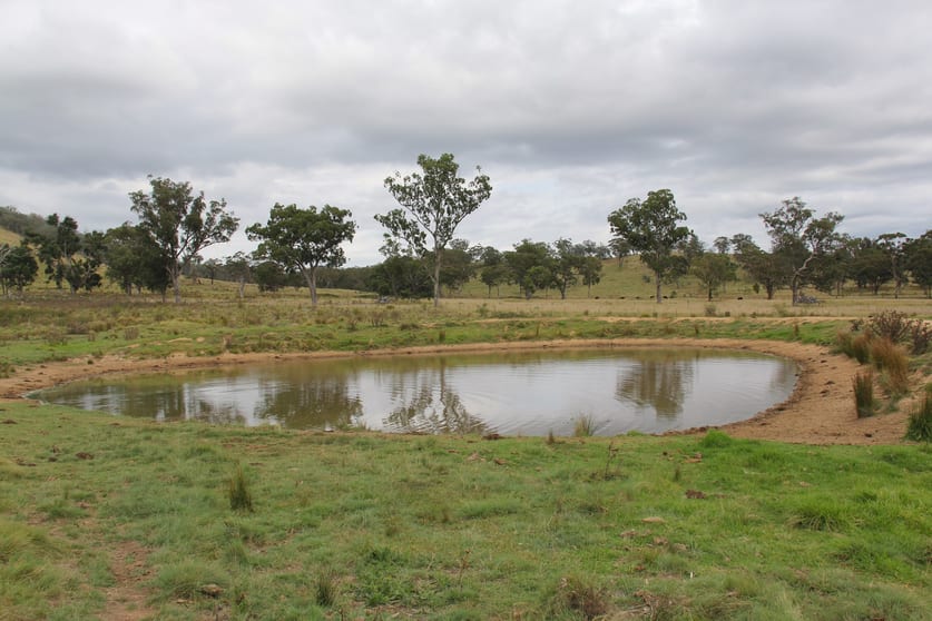 585 Sunnyside Loop Road Tenterfield NSW 2372 - Image 2