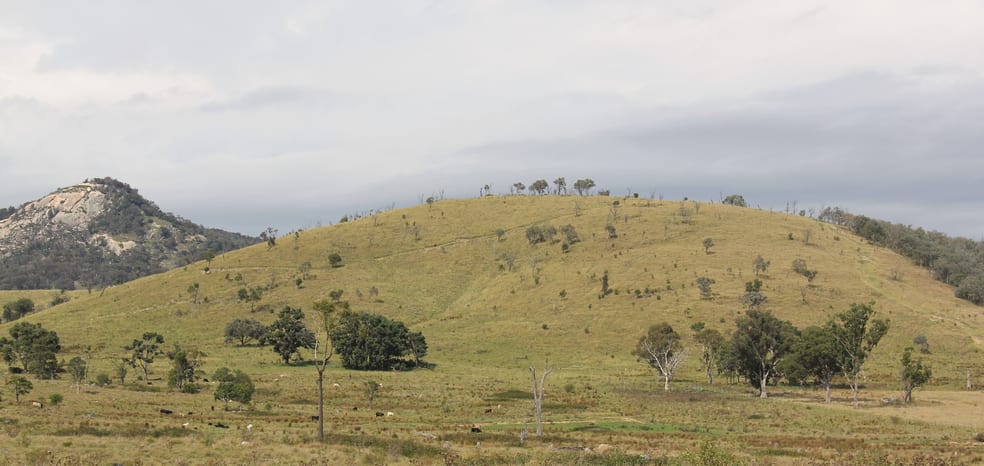 585 Sunnyside Loop Road Tenterfield NSW 2372 - Image 3
