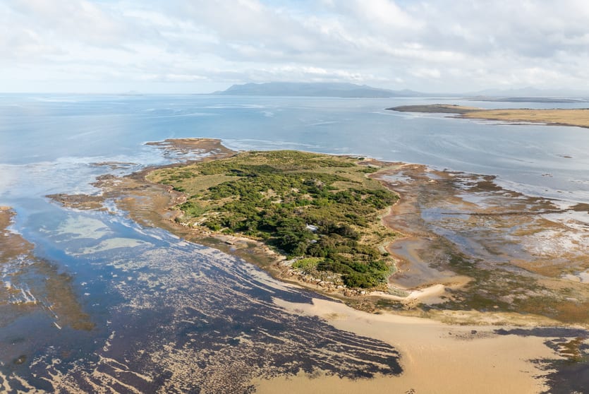 Click to view all images . Puncheon Island Lady Barron TAS 7255 - Image 3
