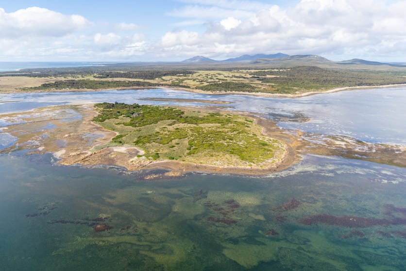 Click to view all images . Puncheon Island Lady Barron TAS 7255 - Image 1