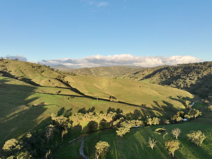 'Glencairn' Rouchel Rd via Aberdeen NSW 2336 - Image 3