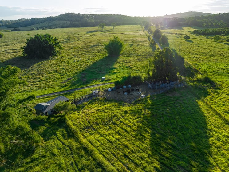 Click to view all images 2 Webber Road Tregeagle NSW 2480 - Image 2