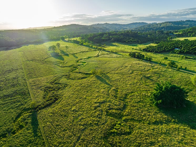 Click to view all images 2 Webber Road Tregeagle NSW 2480 - Image 3