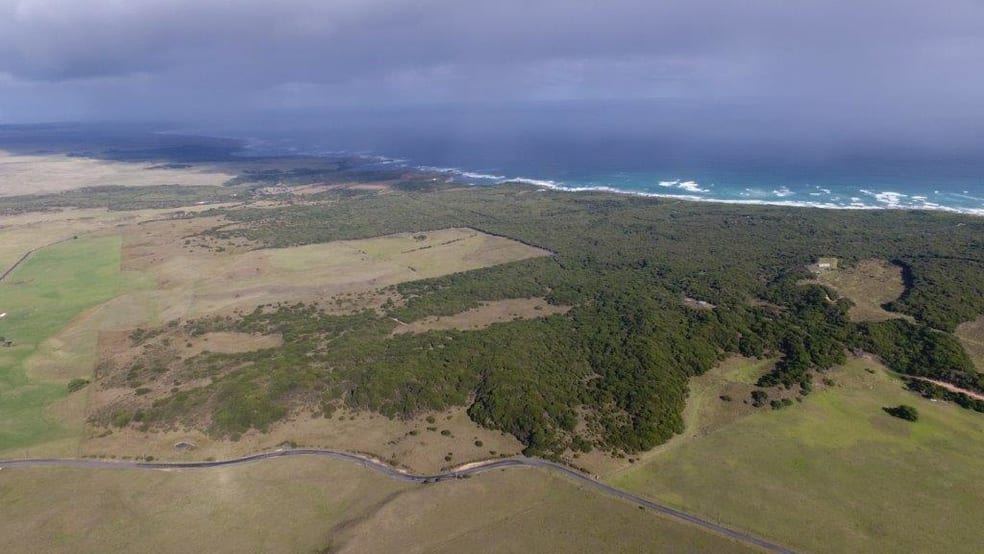 Click to view all images Lot 3 South Road Nugara TAS 7256 - Image 1