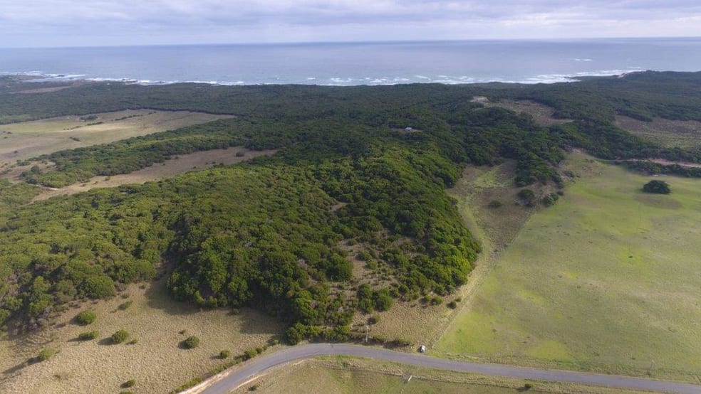 Click to view all images Lot 3 South Road Nugara TAS 7256 - Image 3