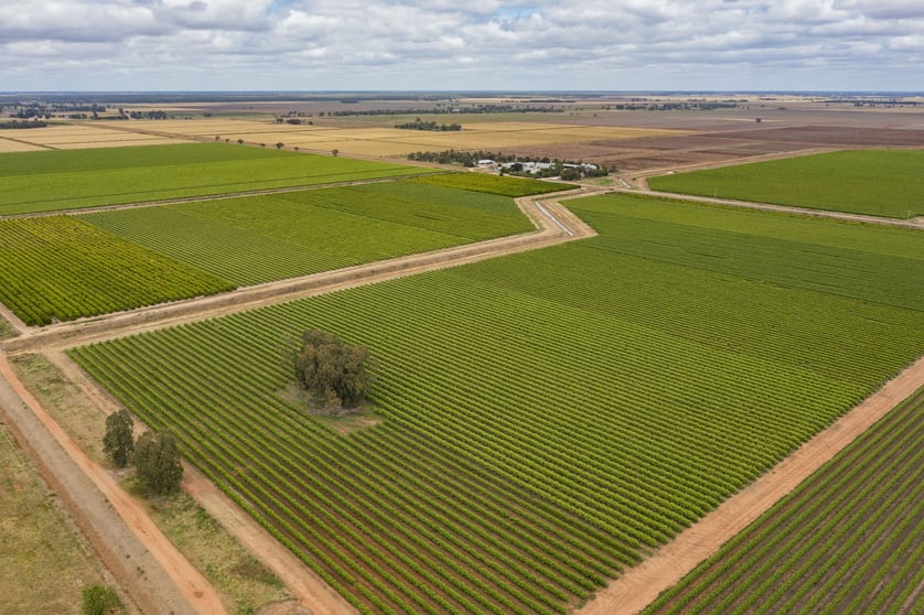 126 & 127 Yate Road Leeton NSW 2705 - Image 1