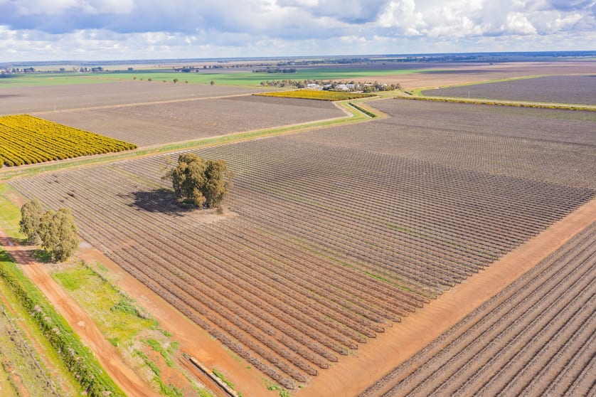 126 & 127 Yate Road Leeton NSW 2705 - Image 2
