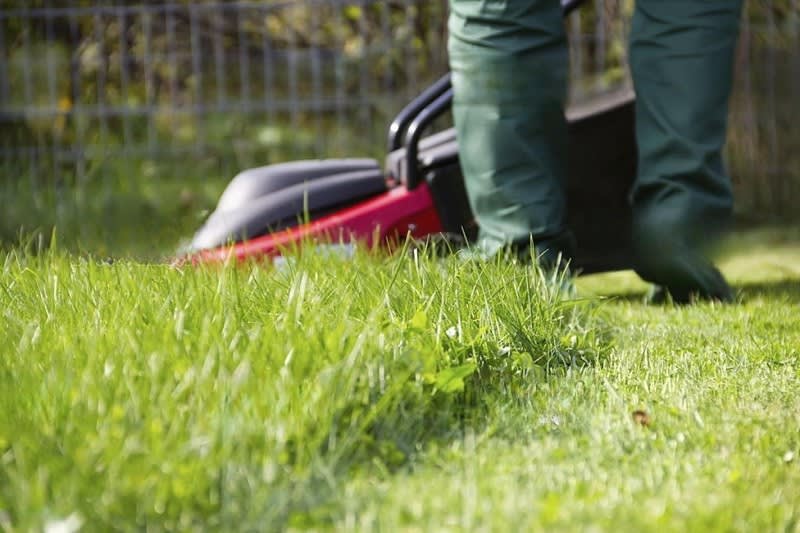 Click to view all images Gardening business for sale in Grays Point - Image 3