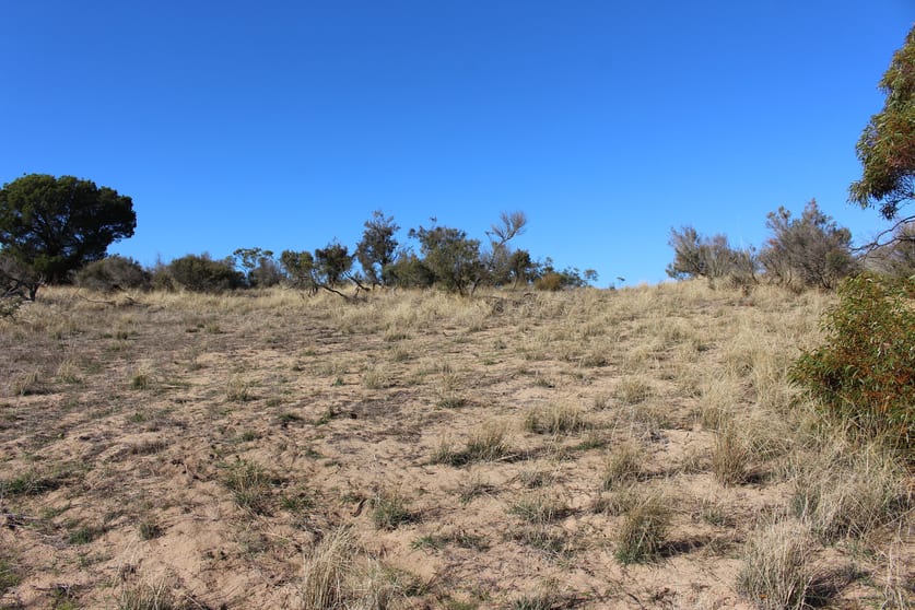 Click to view all images 102 Rosy Pine Road Pinnaroo SA 5304 - Image 2