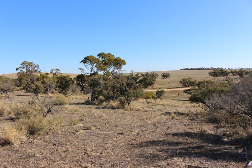 Click to view all images 102 Rosy Pine Road Pinnaroo SA 5304 - Image 3