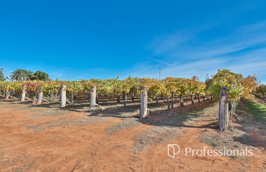 Click to view all images 431 Woomera Avenue Red Cliffs VIC 3496 - Image 3