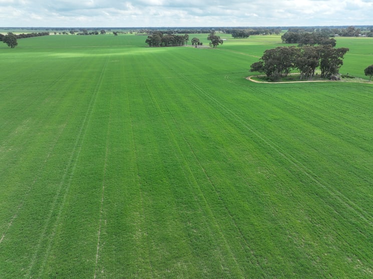Click to view all images 0 Labuan Road Numurkah VIC 3636 - Image 3