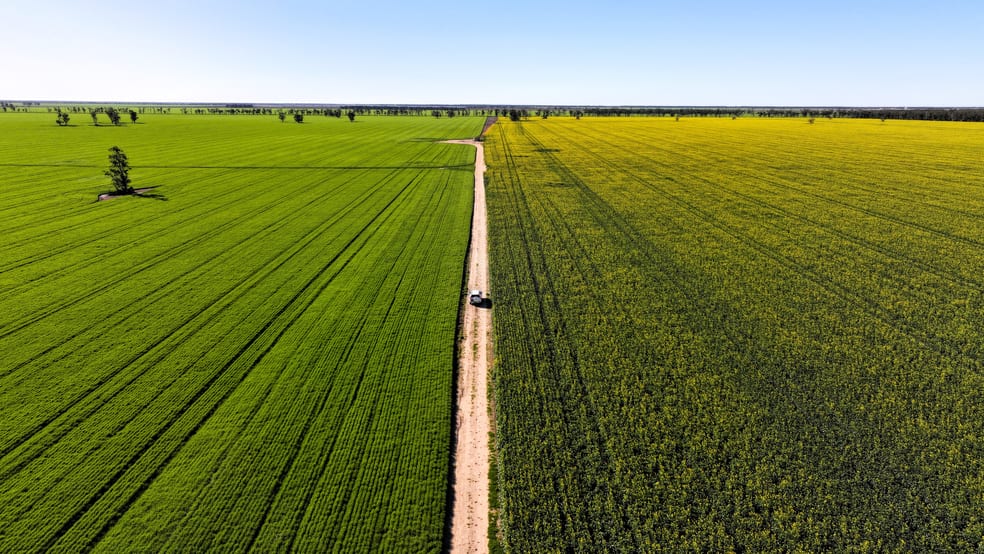Terlings Newell Highway Moree NSW 2400 - Image 1