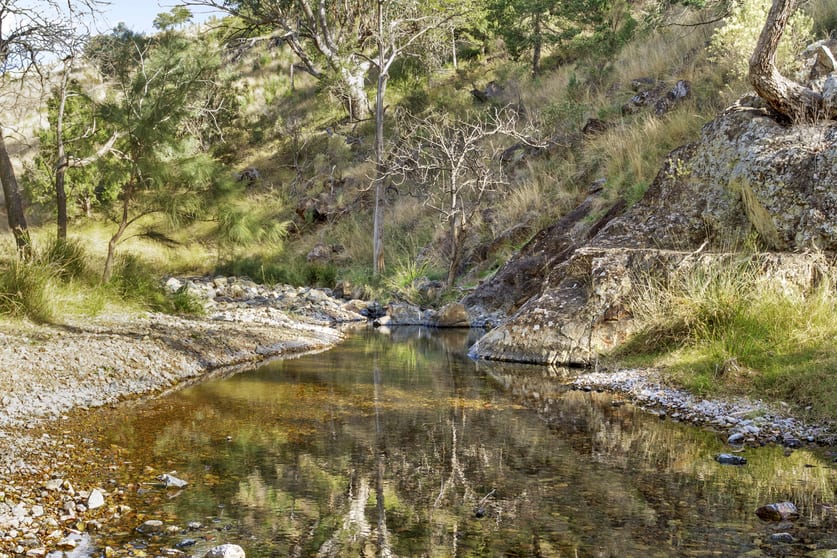 "Spring Valley" 2707 Glen Barra Road Manilla NSW 2346 - Image 3