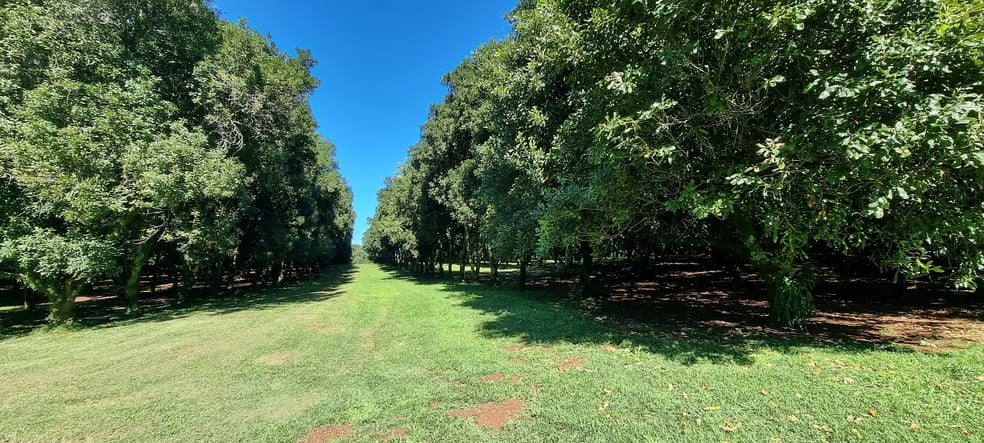 161 Fletcher Road Dunoon NSW 2480 - Image 2