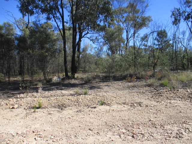 Lot 29 Dahlkes Road Tara QLD 4421 - Image 1