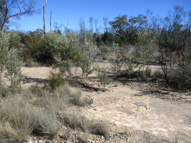 Lot 29 Dahlkes Road Tara QLD 4421 - Image 3