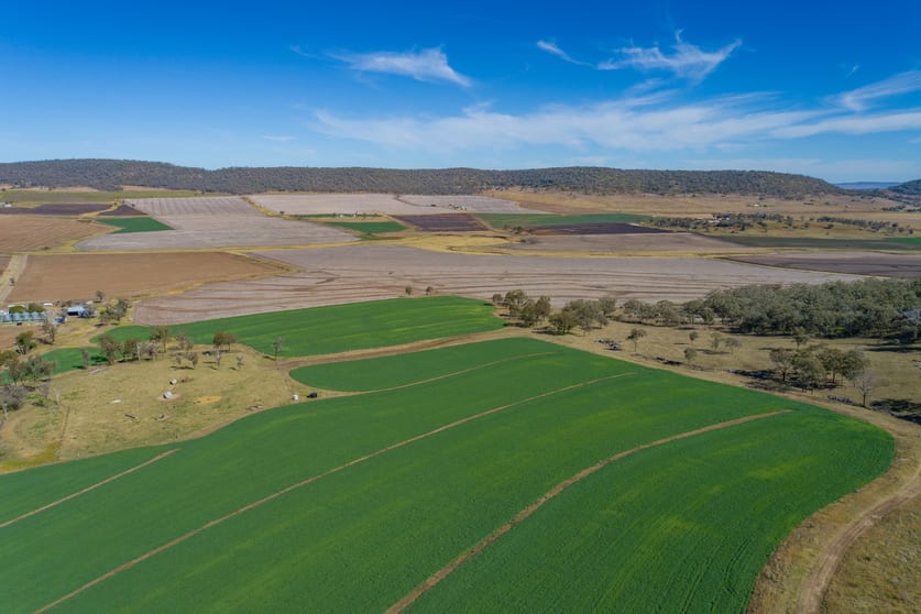Click to view all images "Alfred Park" 357 Pilton Valley Road Pilton QLD 4361 - Image 3