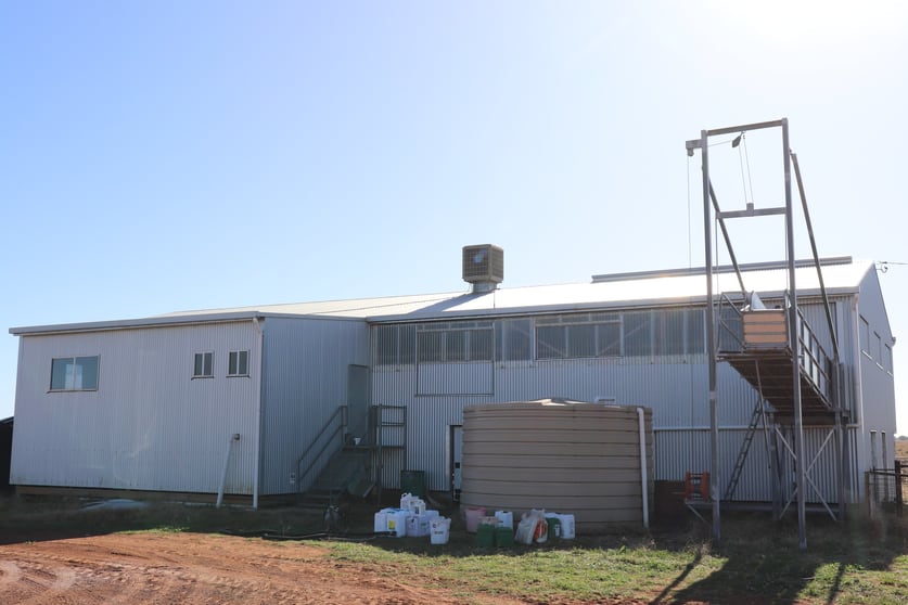 286 Crowley Road Trundle NSW 2875 - Image 2