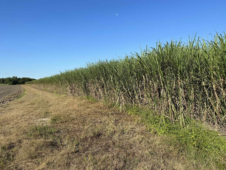 Lot 1 Davidson Road & Henry Road Euramo QLD 4854 - Image 2
