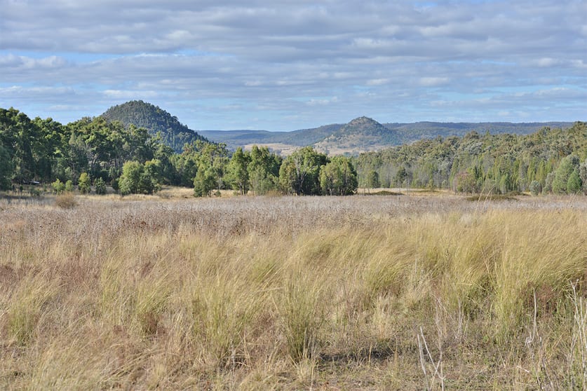Click to view all images 2888 BARADINE ROAD Coonabarabran NSW 2357 - Image 1