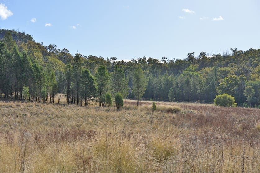 Click to view all images 2888 BARADINE ROAD Coonabarabran NSW 2357 - Image 3