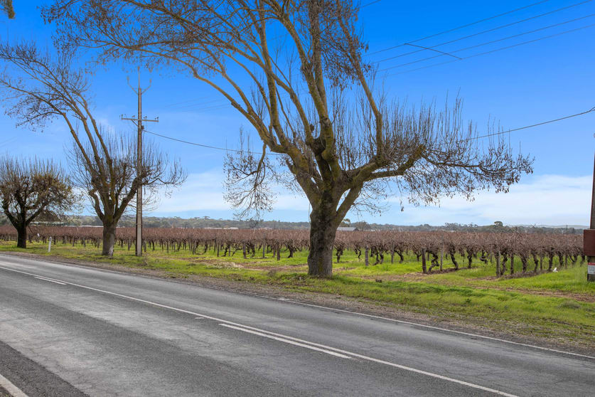 Click to view all images Lot 351 Angaston Road Nuriootpa SA 5355 - Image 3