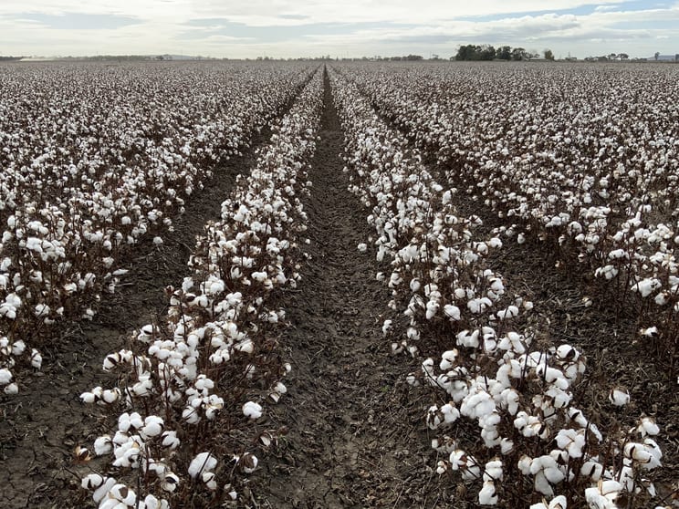 Click to view all images Part Farm 1082, 1386 Murrami Road Leeton NSW 2705 - Image 1
